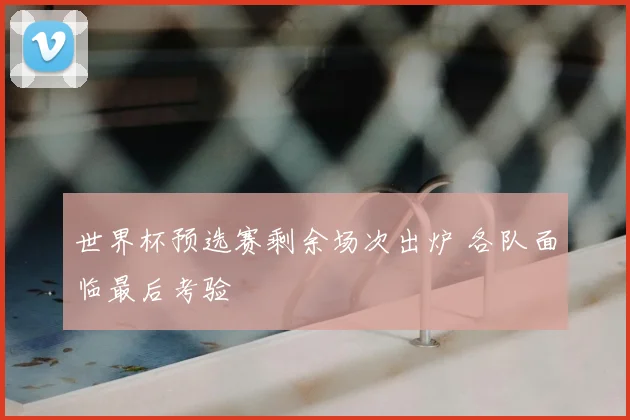 世界杯预选赛剩余场次出炉 各队面临最后考验