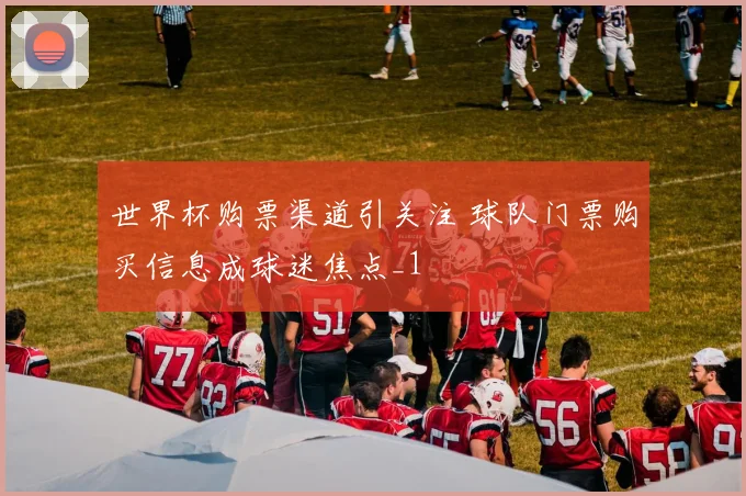 世界杯购票渠道引关注 球队门票购买信息成球迷焦点_1